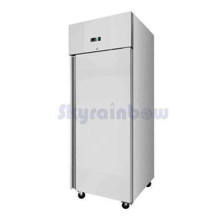ARMOIRE RÉFRIGÉRÉE NÉGATIVE 520 LITRES 1 PORTE