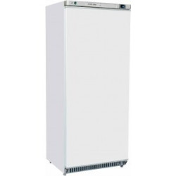 Armoire 1 porte 600 lt laquée blanc froid negatif