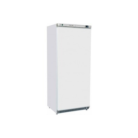 Armoire 1 porte 600 lt laquée blanc froid negatif